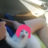 Иконка канала Алёначка и роблокс