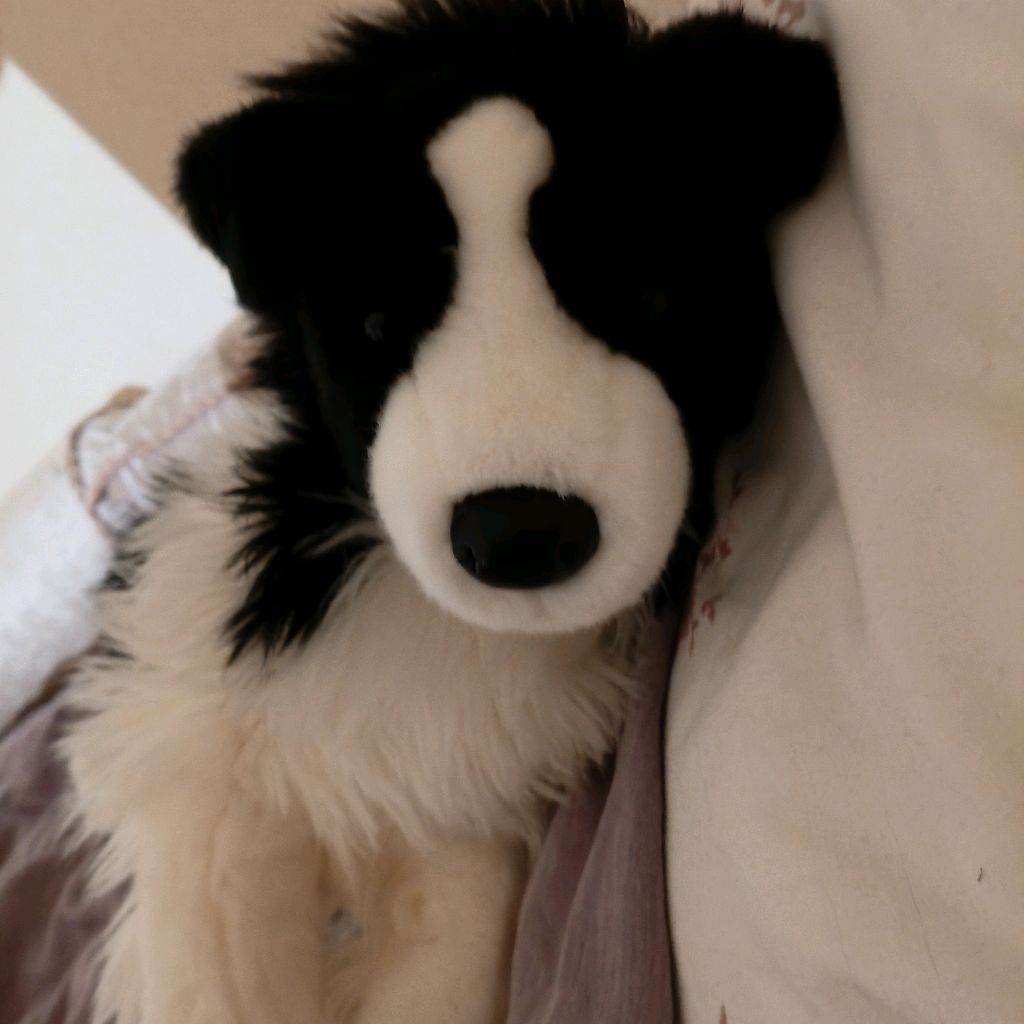 Иконка канала Plush Essa