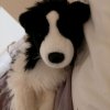 Иконка канала Plush Essa