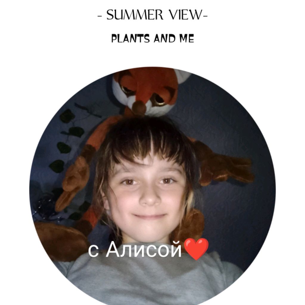 Иконка канала Я и Алиса ❤️🌸🦊