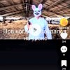 Иконка канала Rafael_L865