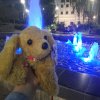 Иконка канала Жанна И Китти