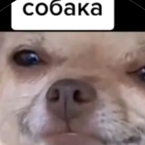 Иконка канала DIMAPL GD
