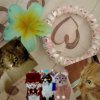 Иконка канала ▽⁠☆ - Звёздηοωёрςткα Кв