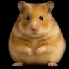 Иконка канала fomka_kat
