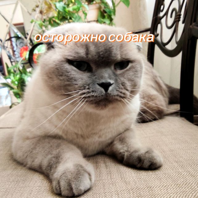 Иконка канала яр 228 ЯР