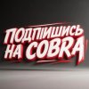 Иконка канала COBRA | Компот