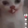 Иконка канала Супер Денис
