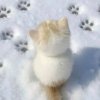 Иконка канала Sc6enjk6