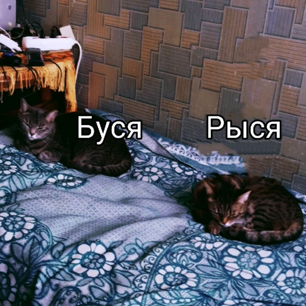 Иконка канала Ричи Твичи Рыся Буся Джесси И Лекс
