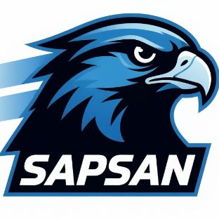 Иконка канала SERGEY_SAPSAN