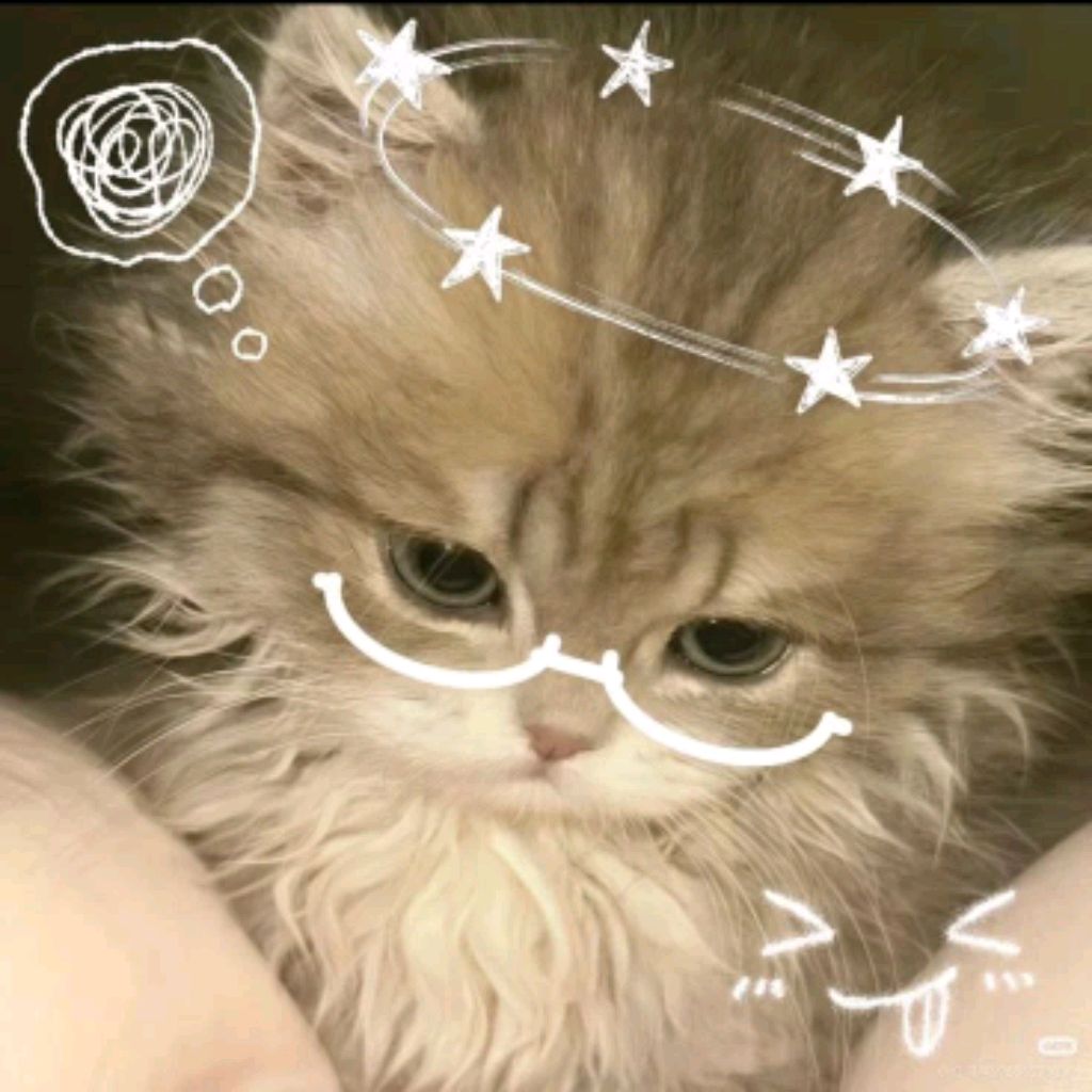Иконка канала Котик
