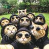 Иконка канала Крутые лучшие друзья 8.