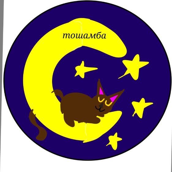 Иконка канала Тошамба