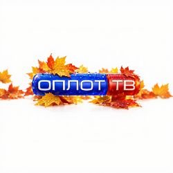 Иконка канала Оплот ТВ