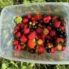 Иконка канала Светлана Шаталова