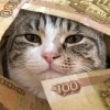 Иконка канала Misur (呢我儿啊)