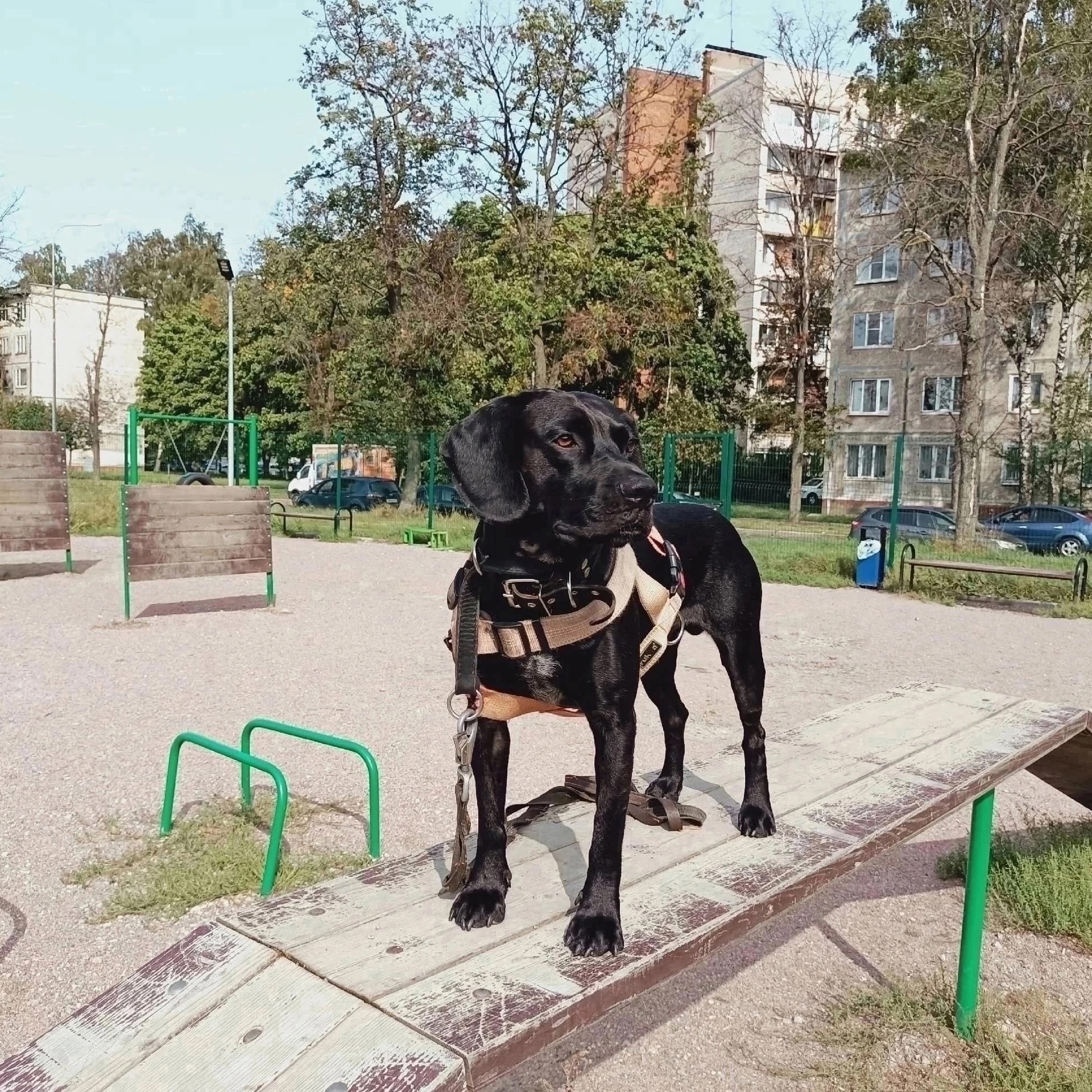 Иконка канала channel81138874