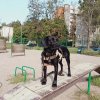 Иконка канала channel81138874
