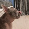 Иконка канала Айрат
