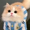 Иконка канала Ульянок