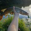 Иконка канала Рыбалка 🎣
