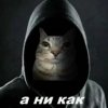 Иконка канала rivalsaken
