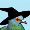 Иконка канала 🩵galubok🐦