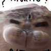 Иконка канала Я Тюлень