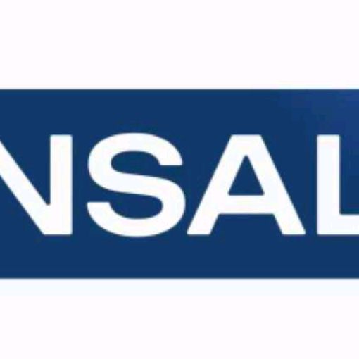 Иконка канала Компания INSAL