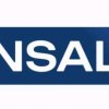 Иконка канала Компания INSAL