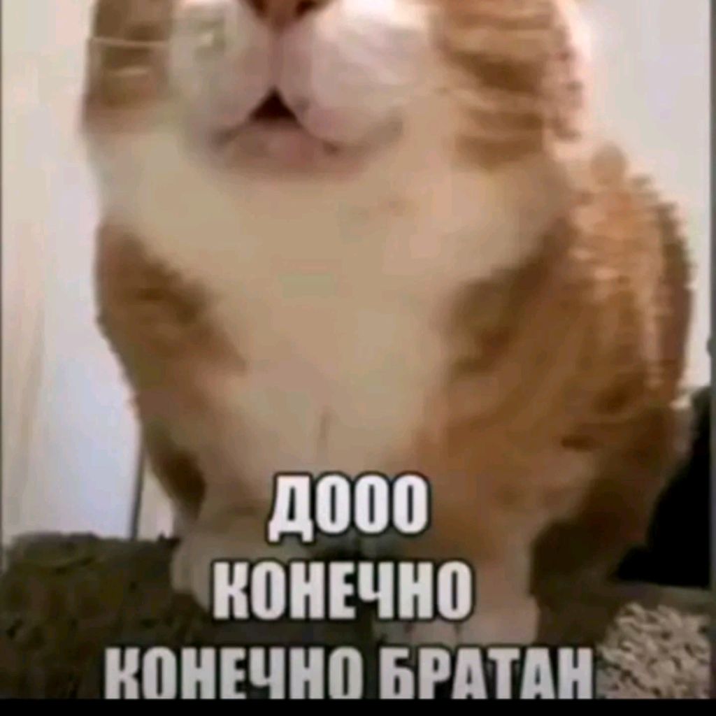 Иконка канала melons