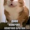 Иконка канала melons