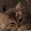 Иконка канала Emily