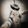 Иконка канала channel81178198