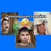 Иконка канала Сумашедшая семейка🤪