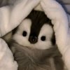 Иконка канала 🐚💤 bℯℓℓα's vℓσg🐚💤