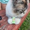 Иконка канала Игры