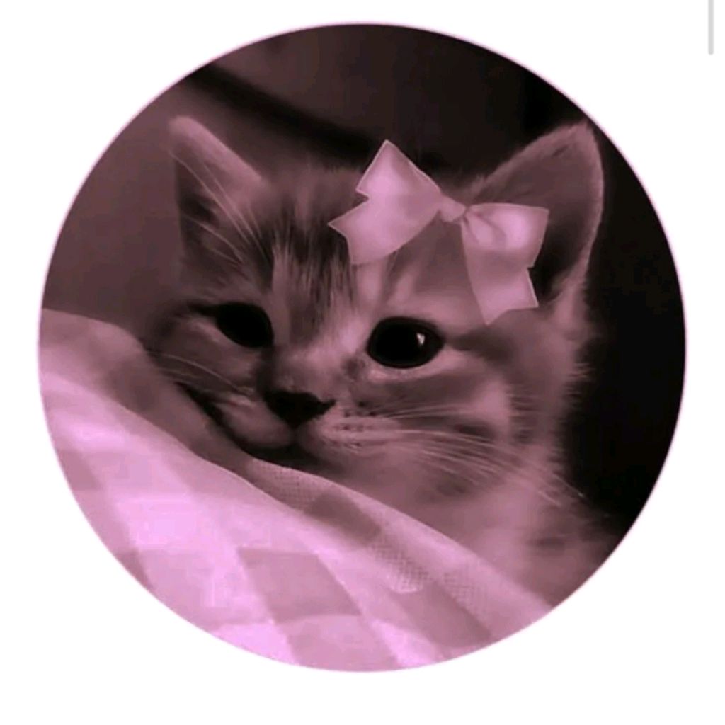 Иконка канала °^≈Верунчик≈^°