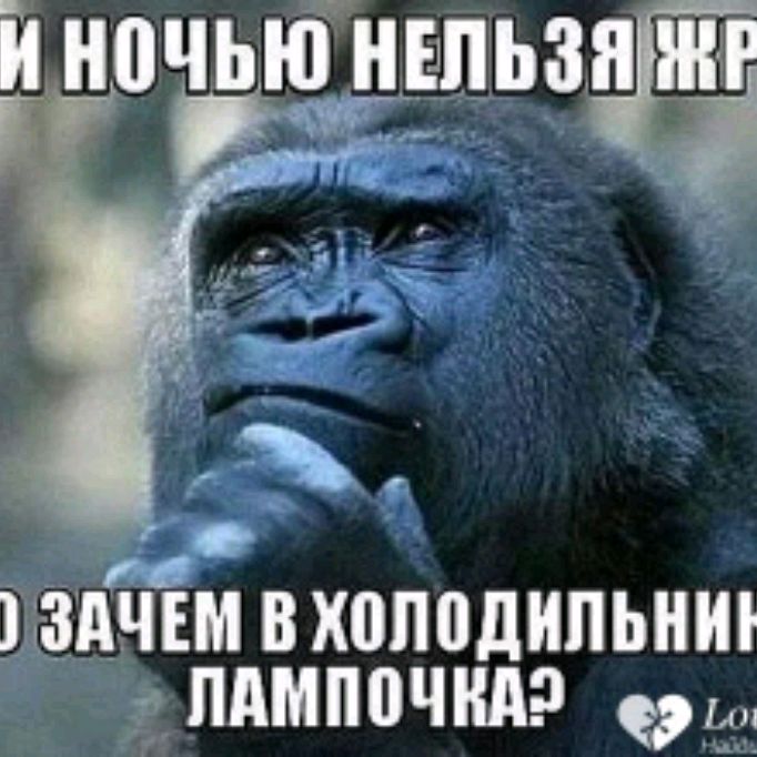 Иконка канала channel81181451