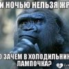 Иконка канала channel81181451