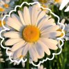 Иконка канала Just Ulyana