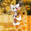 Иконка канала Вендий(🩶🐈🤬)(охотница На хейтеров)(А.д.и.