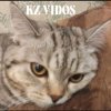 Иконка канала KZ•VIDOS