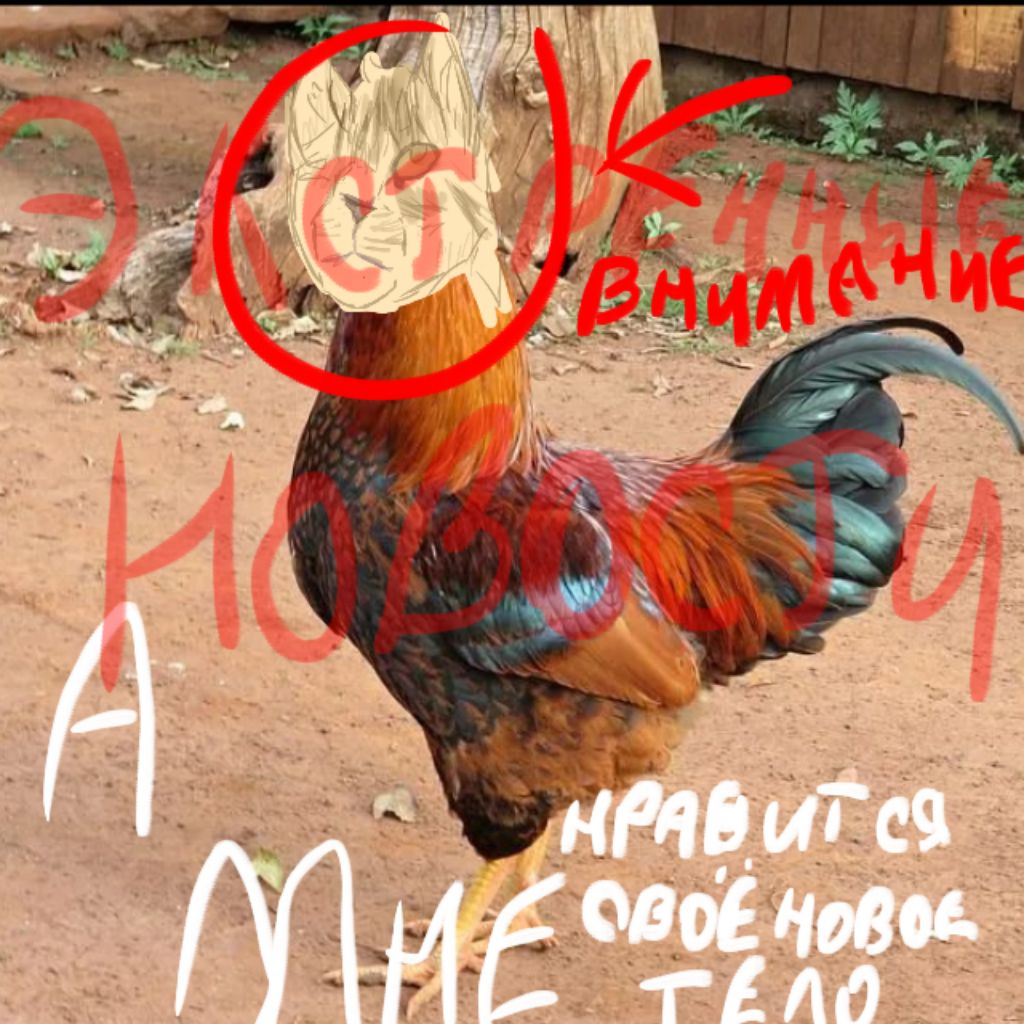 Аватар