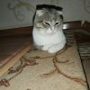 Иконка канала Жоп@разрывающие Видео Футажи С Меллстроем