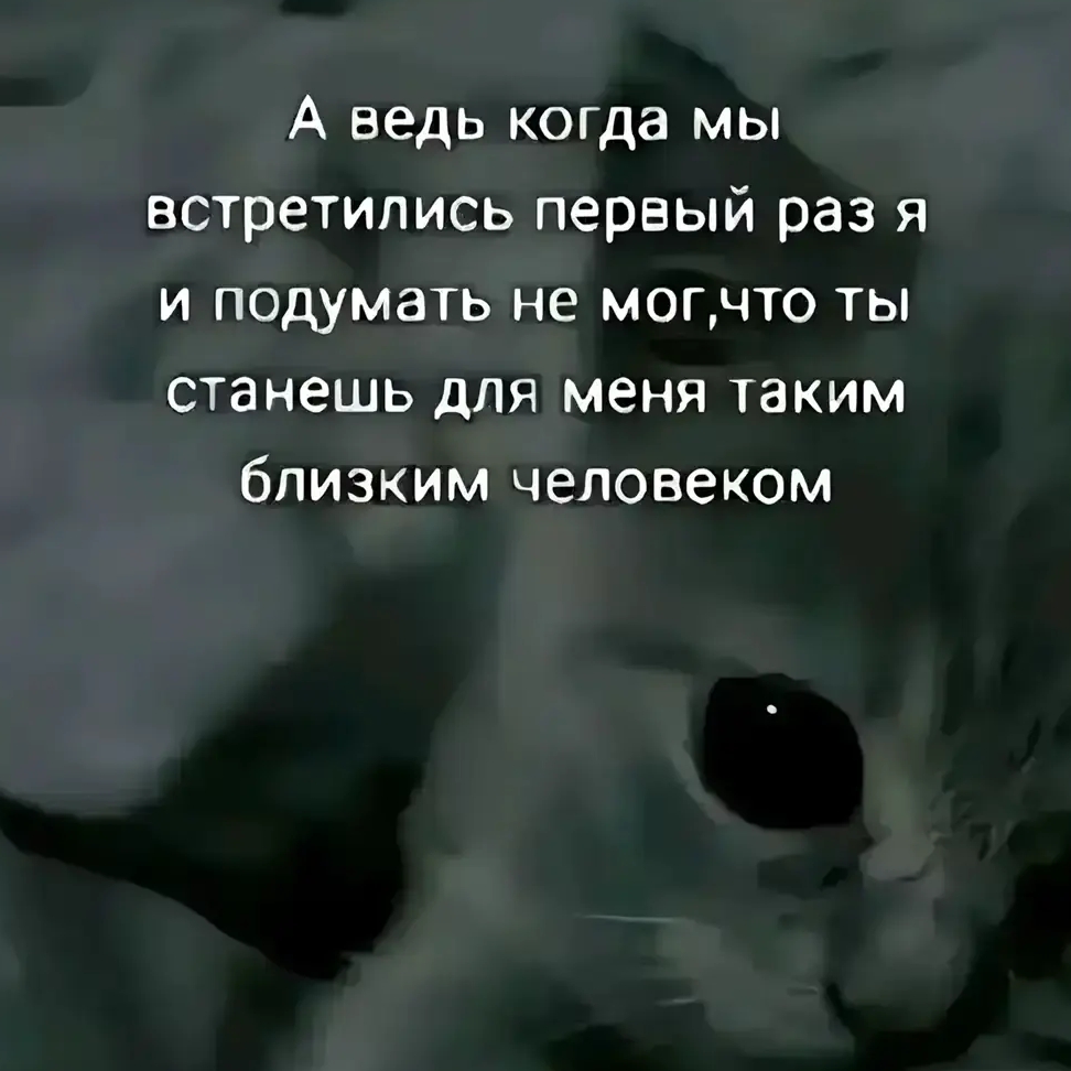 Иконка канала лови момент