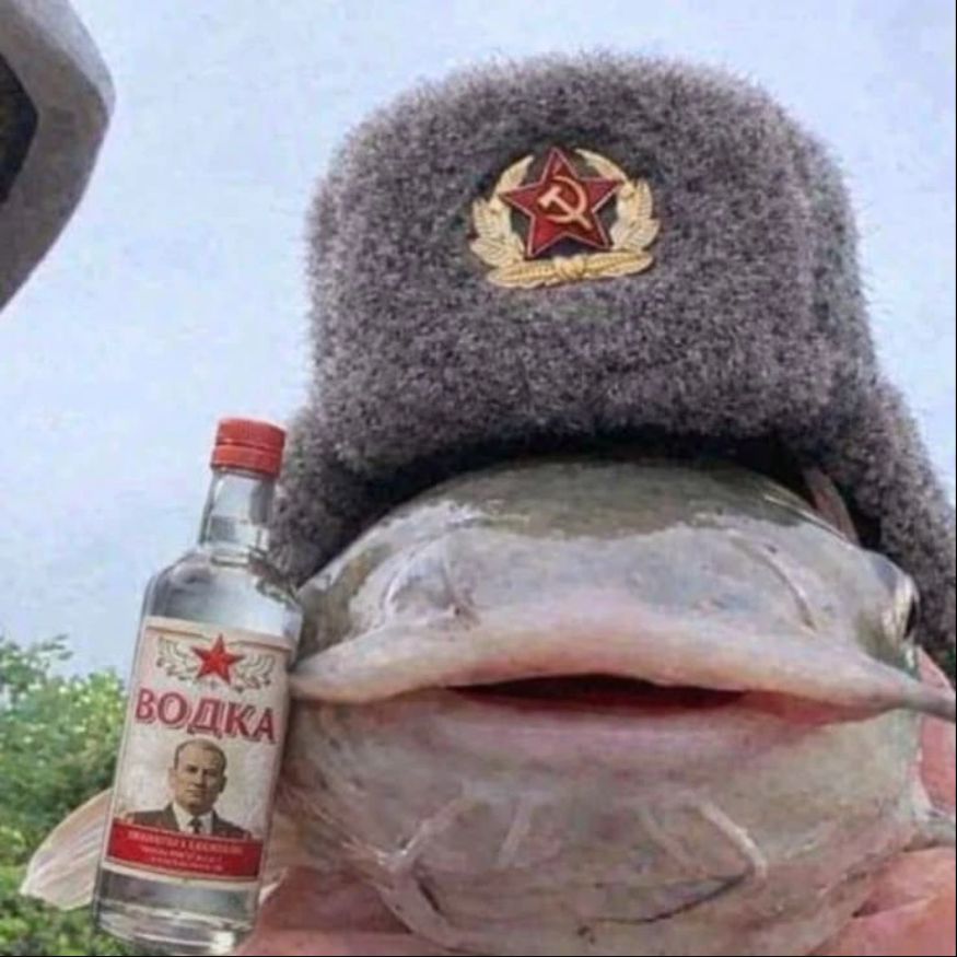Окрошка