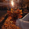 Иконка канала 🍁Eviks*awa🍂