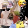 Иконка канала 𓂀Полежайка𓂀